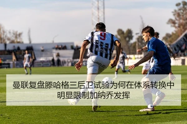 img_1783142745488_375_1_763.jpg